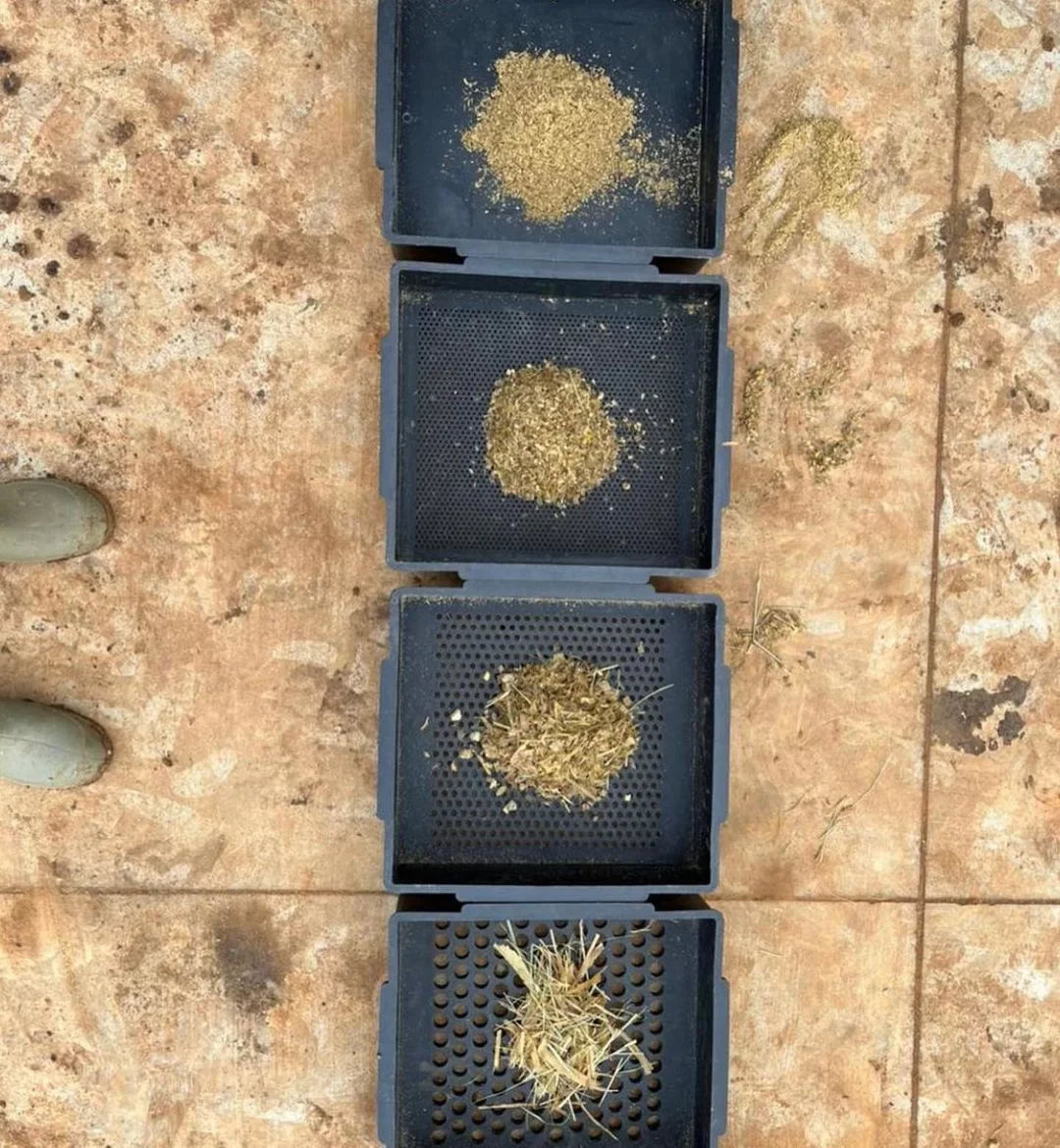 Kit: Peneira Penn State + Livro Reprodução de Bovinos Leiteiros - Hoard's Dairyman